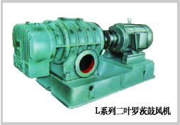 L5LD、L6LD羅茨鼓風(fēng)機(jī)